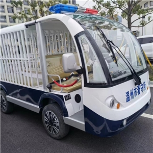 電動改裝車